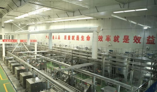 中國飲料界的超級單品 年銷40億罐，鑄就百億餐飲服務(wù)帝國